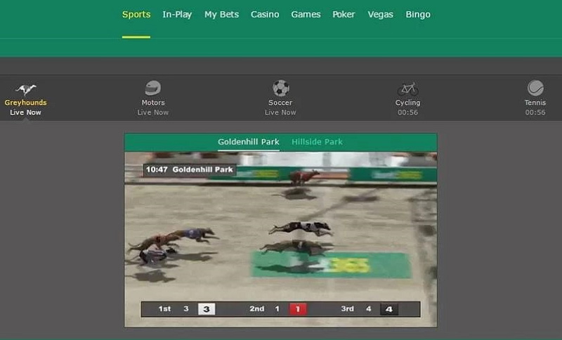 Bet365 - The ultimate betting in greyhound racing