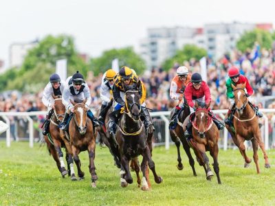Learn about horse racing betting