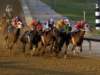 Learn about horse racing betting games