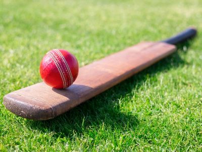 Learn about what is cricket?