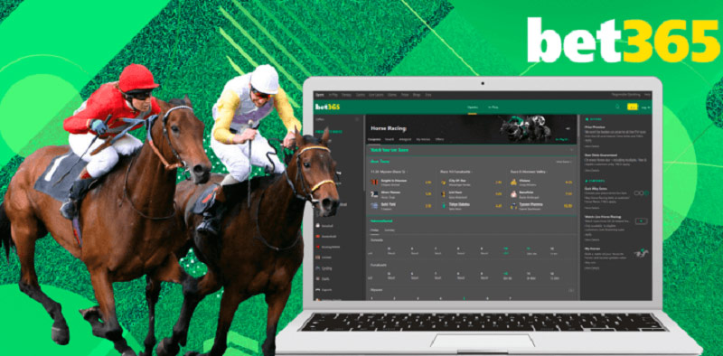 Participate in horse racing at the Bet365 