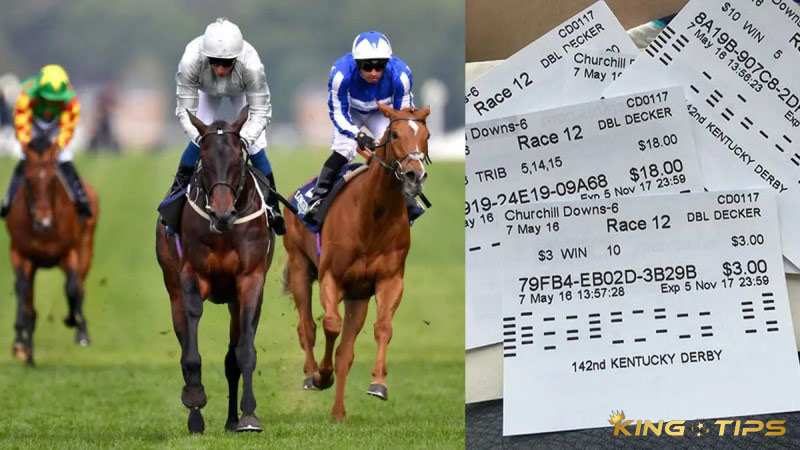 The most popular types of online horse racing betting tickets