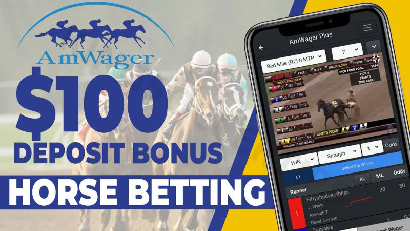 AmWager - Licensed horse racing betting platform