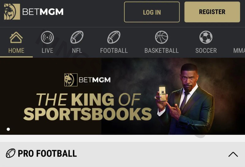 BetMGM - A place that provides top MMA betting services