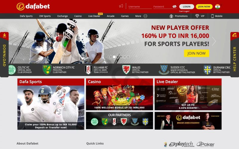Dafbet - Famous betting brand in Florida