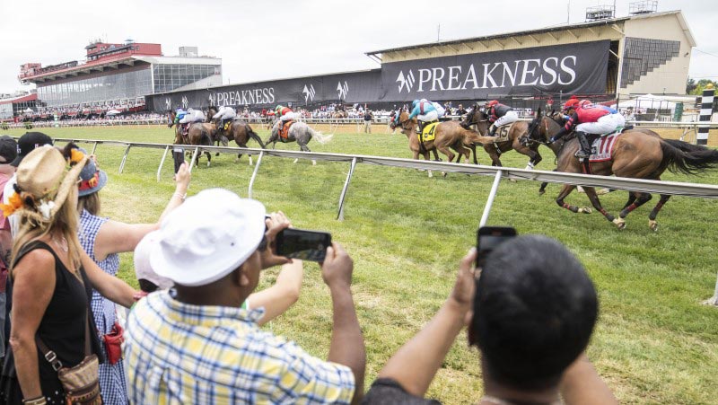 Some hidden rules in Preakness Future Bet