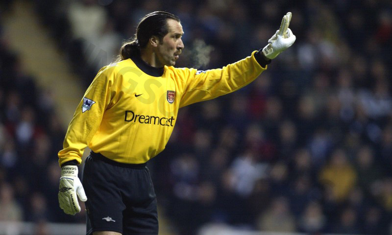 David Seaman is an excellent goalkeeper for Arsenal