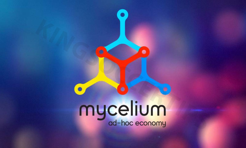 Mycelium: Advanced privacy on mobile devices