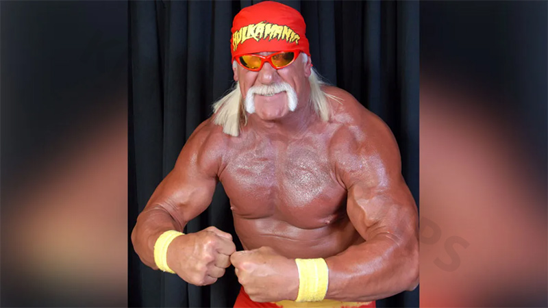 Best WWE player in the world: Hulk Hogan