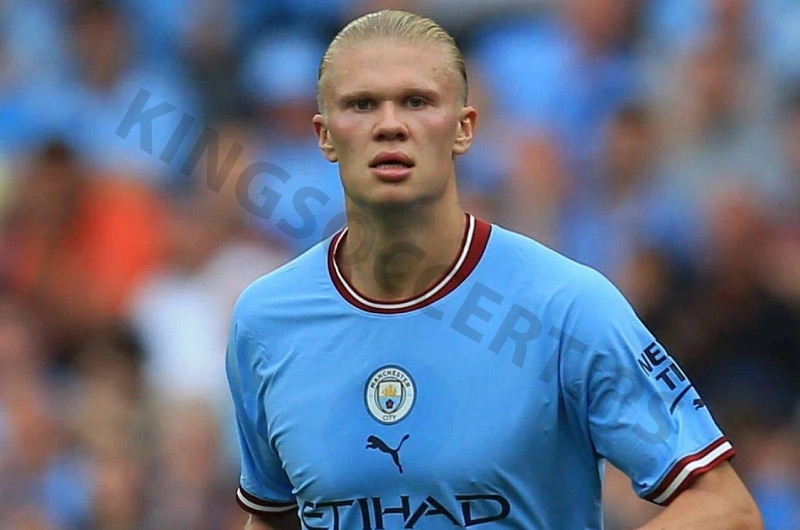 Erling Haaland - Best forwards in the Premier League