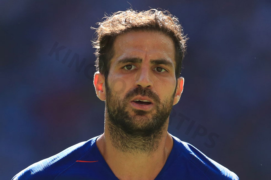 Cesc Fabregas - Top assist in the EPL