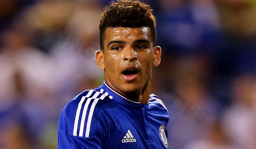 The ability to explode strongly in the Championship and Premier League proves Solanke's outstanding potential
